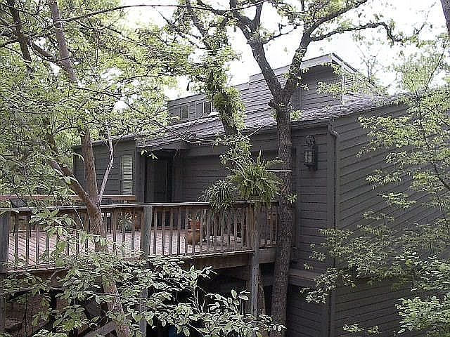 "Treehouse" in the city