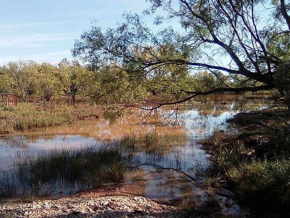 4th image of 9608 County Road 452