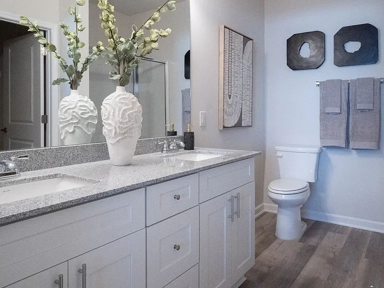 Primary bathroom with double vanity, walk-in shower and walk-in closet.