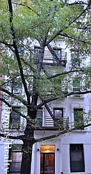 Rented by Domus Realty