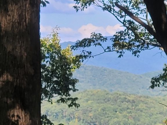 2nd image of 43.91 Old Burnt Mountain Rd