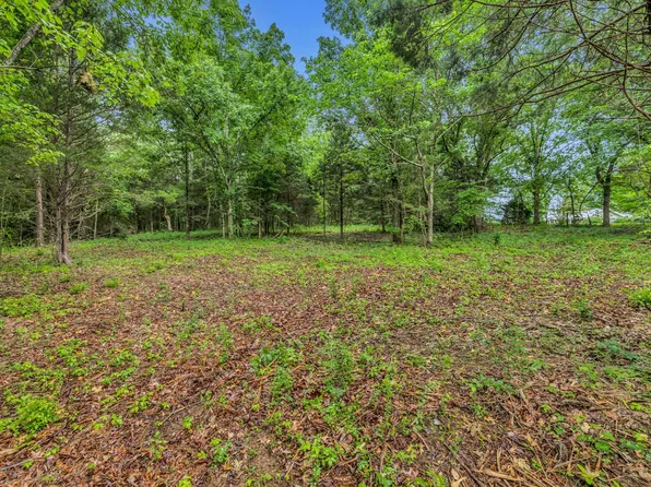 921 Eli Rd Lot 3, Bon Aqua, TN 37025