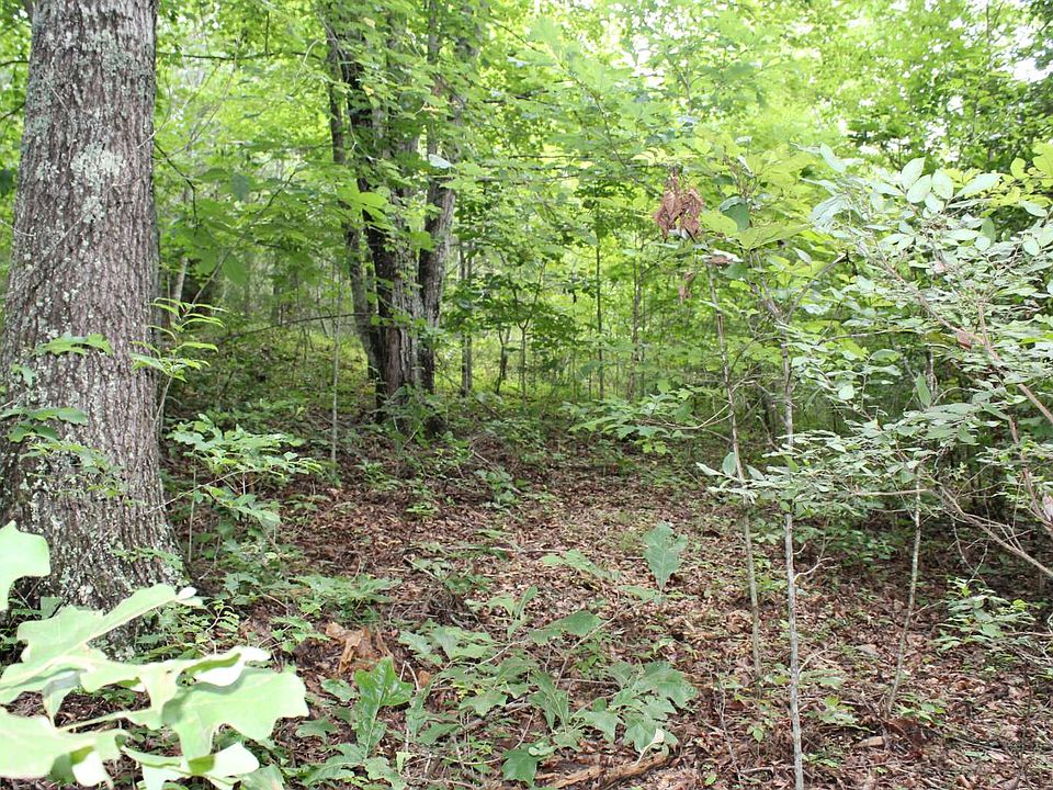 2nd image of LOT 4 Downings Crk
