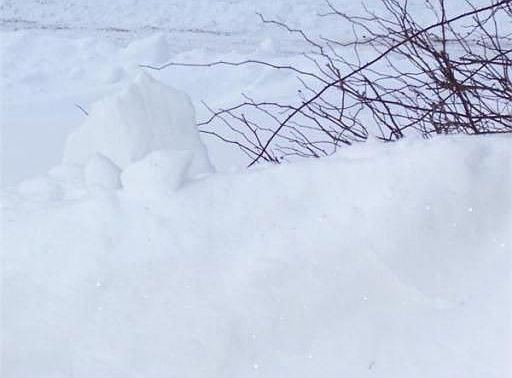 2nd image of 54 Temple St #1