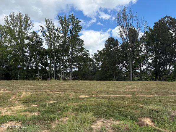 John Thomas Cv, Hernando, MS 38632