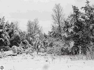 14833 Healy Lake Rd, Bear Lake, MI 49614