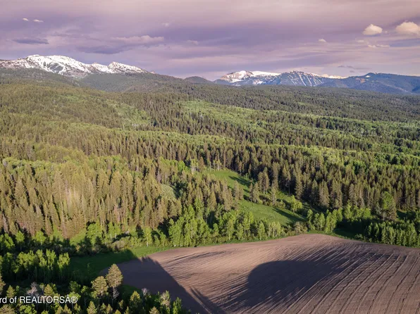 10 S Leigh Canyon Rd, Alta, WY 83414