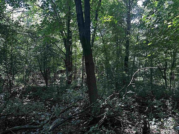 3rd image of 03 ACORN DRIVE