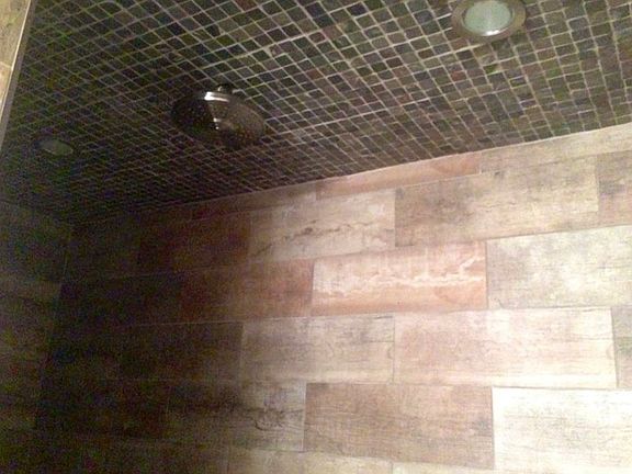 Ceiling/shwr w/dimmer lights