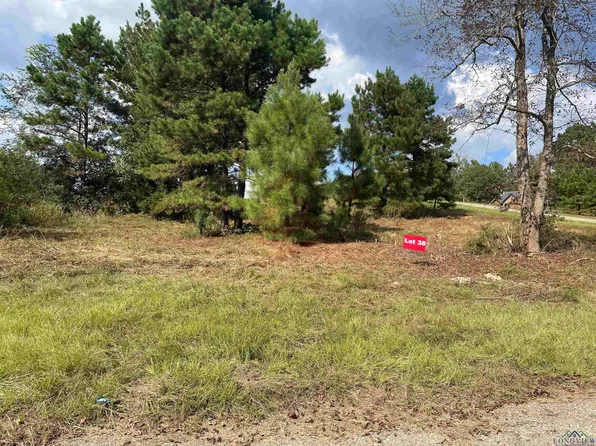 38 County Road 2204d & Dm #1797, Tatum, TX 75691