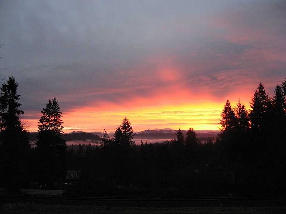This is the view you get from the dining room/sunroom in the morning.