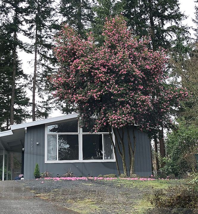 1st image of 6621 NE 153rd Pl