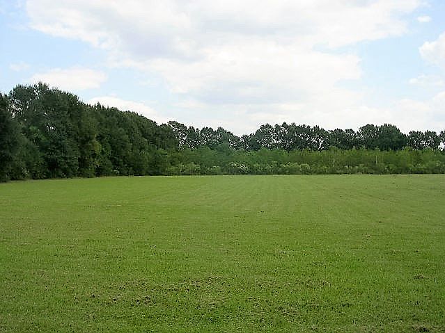 1st image of Whittington