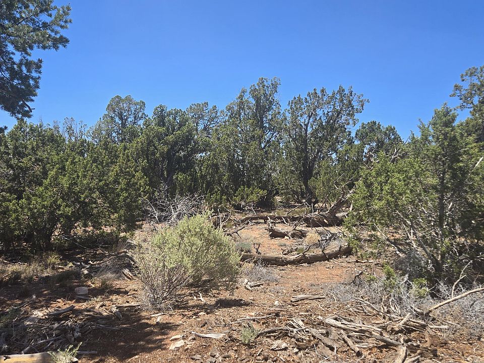 1st image of 2226 Watchtower Pass