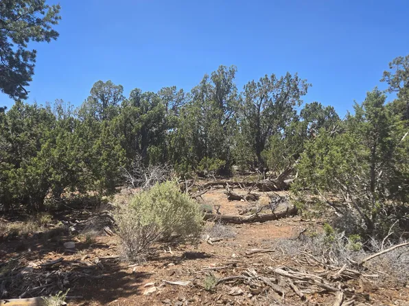 2226 Watchtower Pass, Williams, AZ 86046