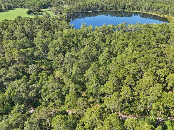 EDGEHILL DRIVE, GROVELAND, FL 34736