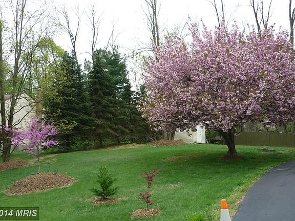 2nd image of 9711 Locust Hill Dr