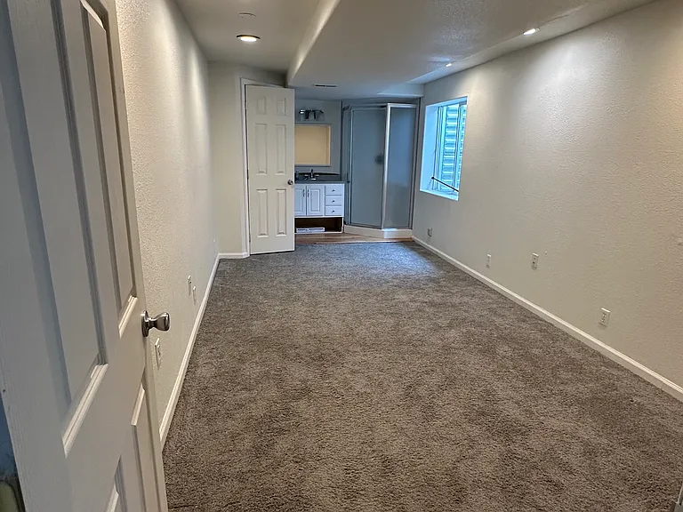 Basement: Non Conforming room with open shower, sink, and toilet.