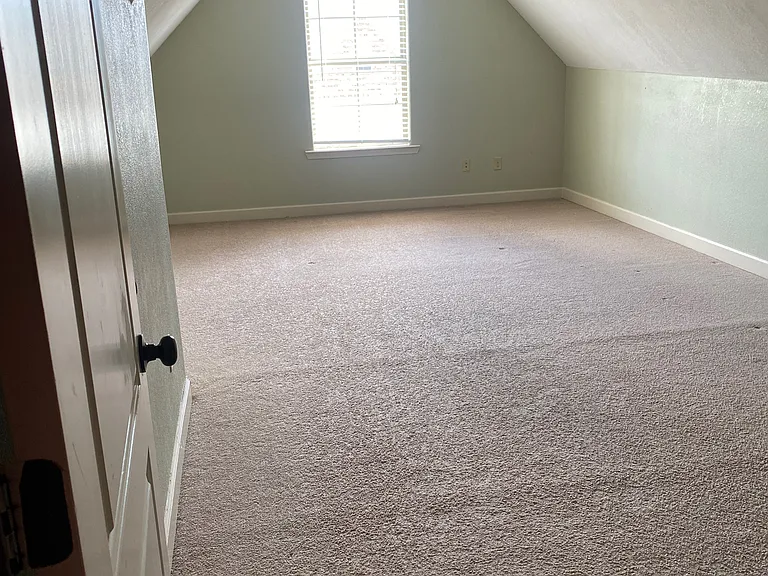 Red Cedar Cv — Photo 12