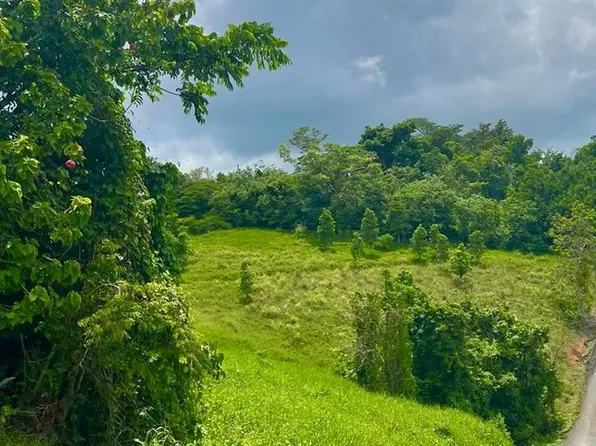 Barrazas Ward 945 Road Camino Real #1, Carolina, PR 00985