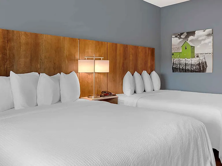 Studio Suite - 2 Full Beds