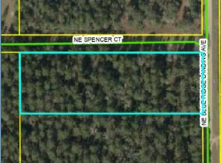 NE Blue Ridge Landing Ave LOT 8, Lee, FL 32059