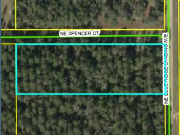 NE Blue Ridge Landing Ave Lot 8, Lee, FL 32059