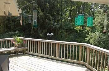 2nd image of 9027 Weatherwood Ct