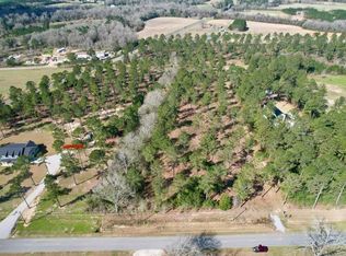 0 Ben Ivey Rd, Webb, AL 36376