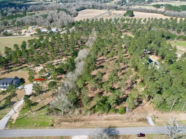 0 Ben Ivey Rd, Webb, AL 36376