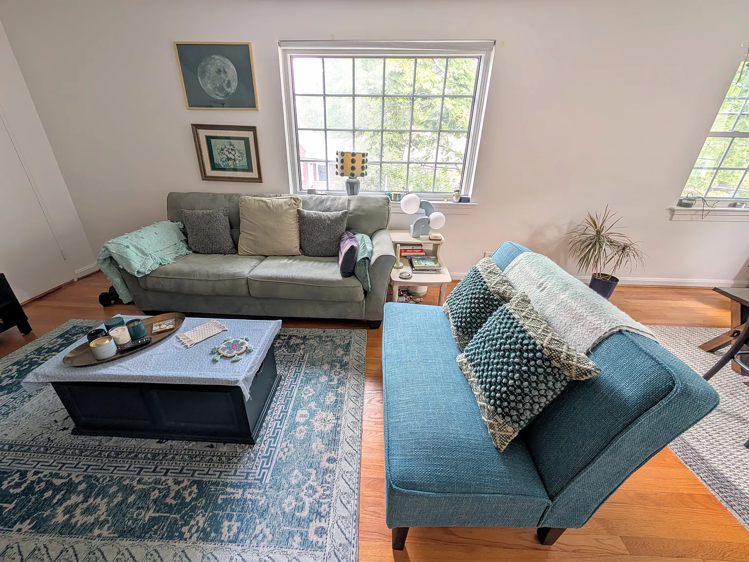 Plenty of natural light in the living and dining areas.