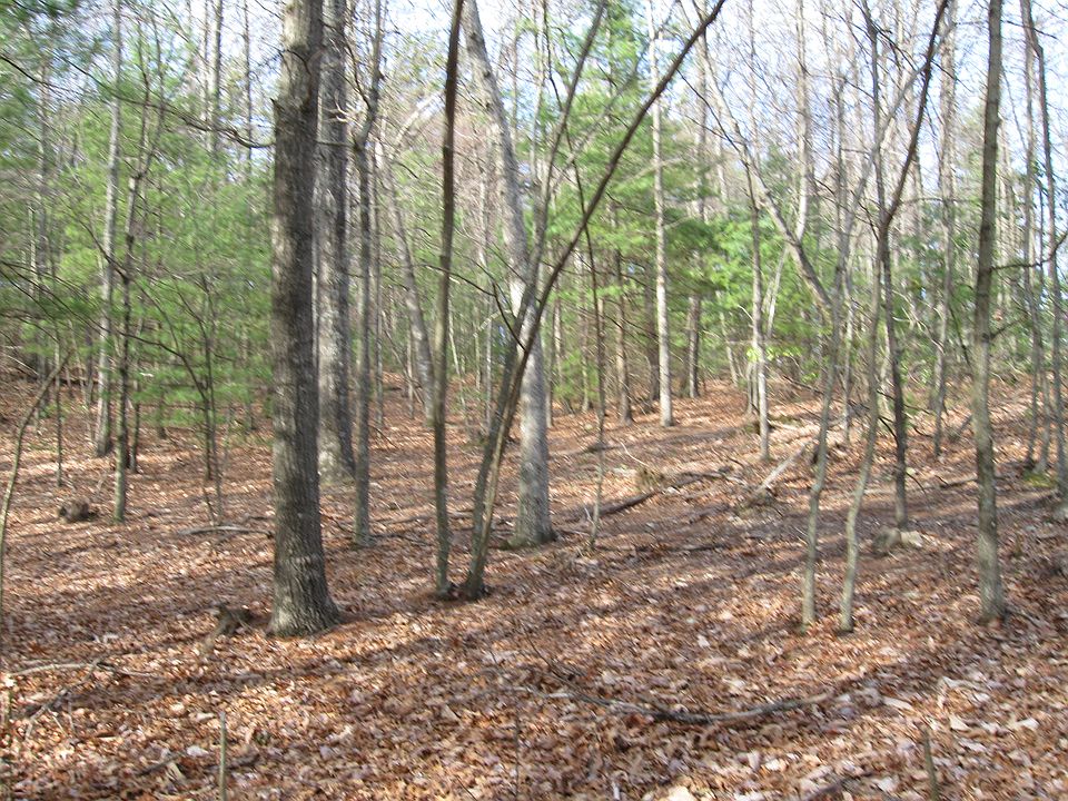 1st image of Ash Ln