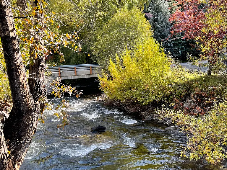Downstream view from deck