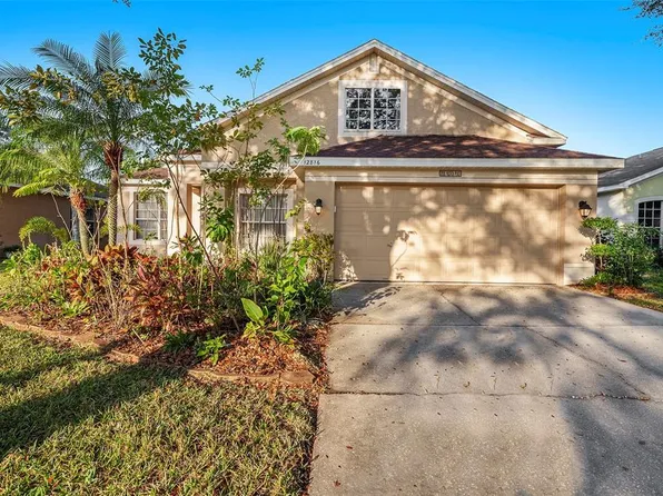 12816 Pacifica Pl, Tampa, FL 33625