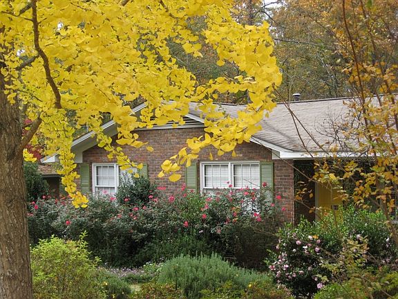 front, fall 2012