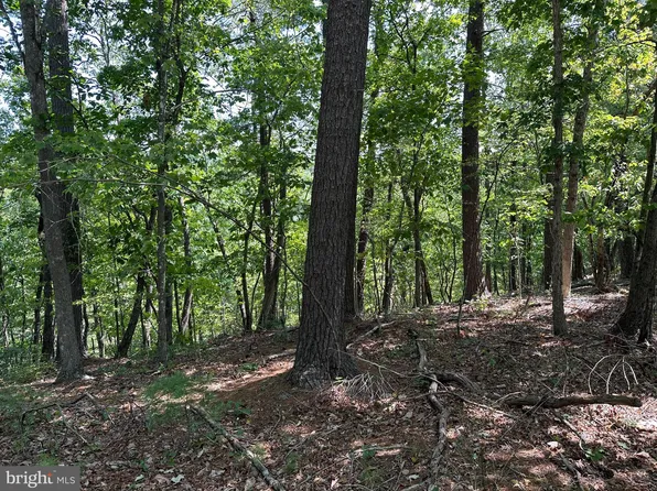 22 Ewells Ridge Rd, Basye, VA 22810