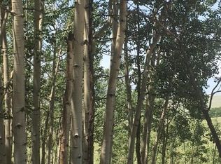 151 Anhinga Rd, Como, CO 80432