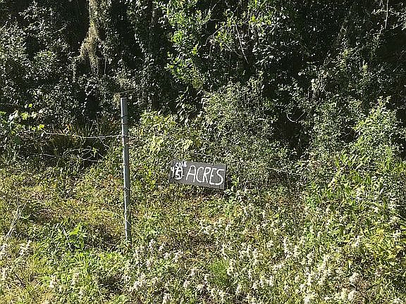 Front of property..