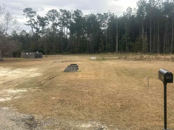 31618 Ferina Ln, Albany, LA 70711