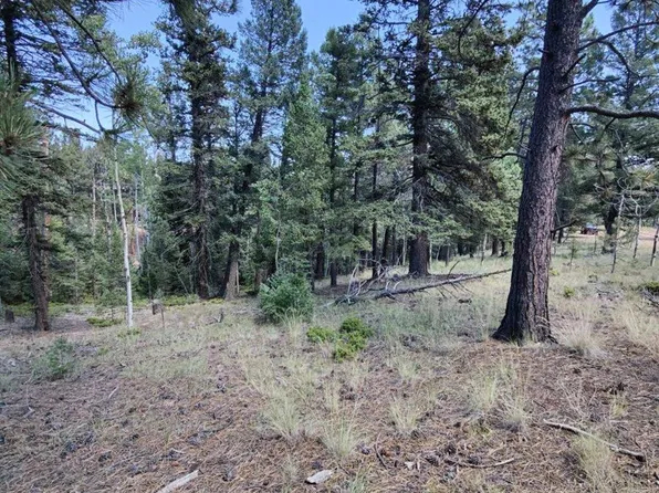 49 Trappers Lake Circle, Divide, CO 80814