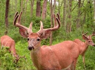 1348 N Orianna Rd, Rockledge, GA 30454