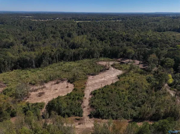 County Road 357, Pisgah, AL 35765