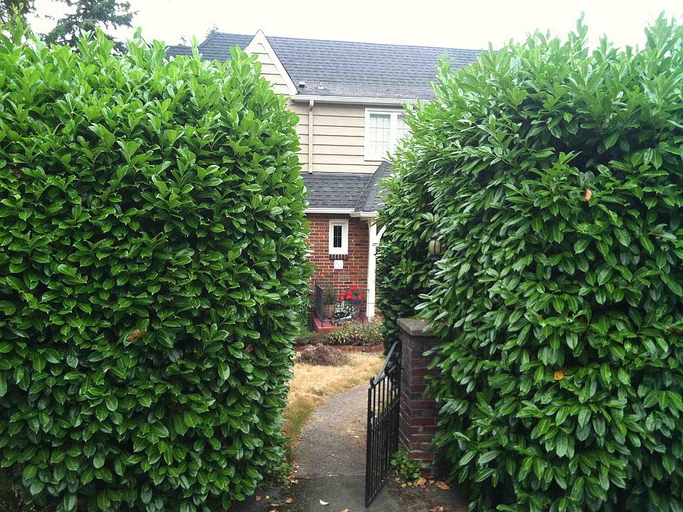 1st image of 12050 Lakeside Ave NE