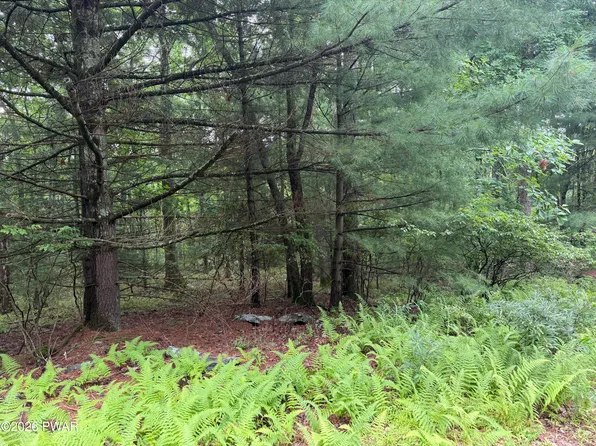 Lakewood Dr, Milford, PA 18337