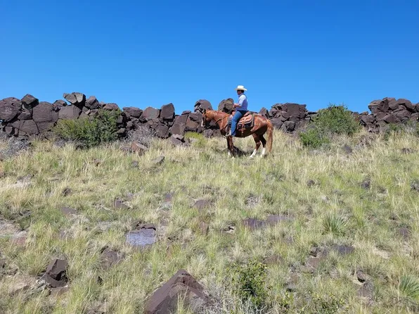 County Road 119.8, Trinchera, CO 81081