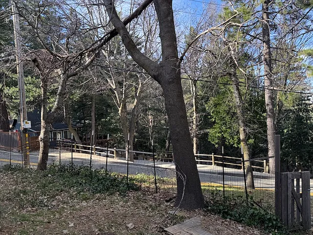 1086 Playground Dr — Photo 21