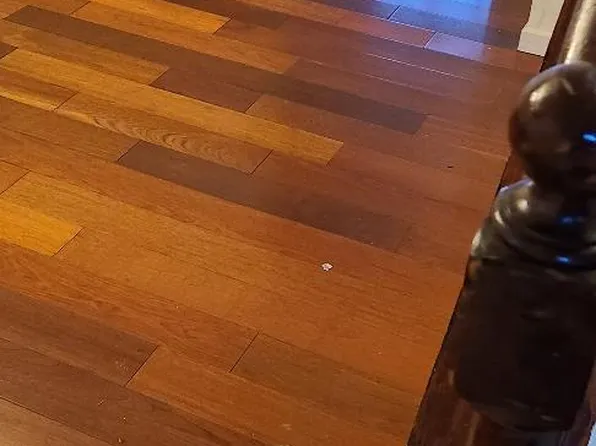 5220 Magnolia Pl, Fredericksburg, VA 22407