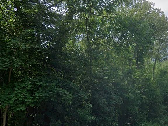 4th image of 17 Tyler Road