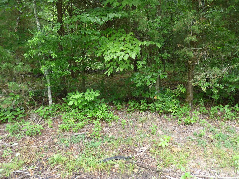 2nd image of LOT 1024 Mountain View Ln