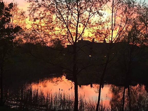 Beautiful Sunset
